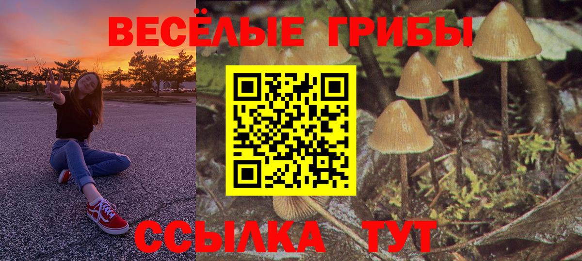 Псилоцибиновые грибы мицелий  Вход с VPN  Псилоцибиновые грибы ЛСД  Зерноград 